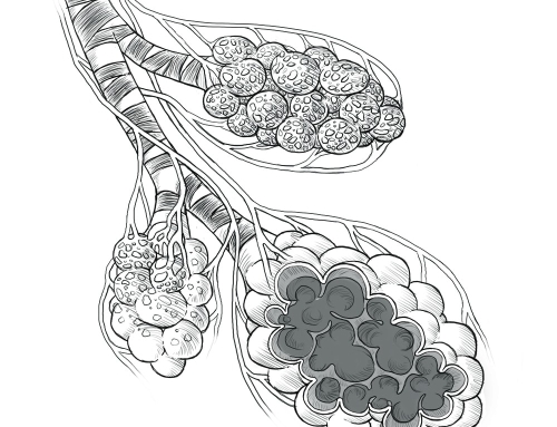 Biology Line Art